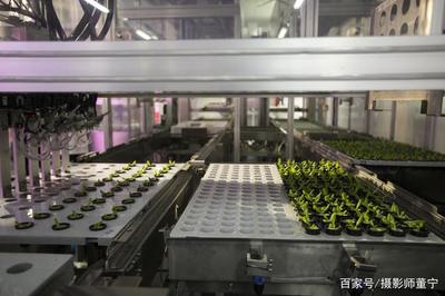 探訪全球最大植物工廠 當農(nóng)業(yè)遇見大數(shù)據(jù)處理